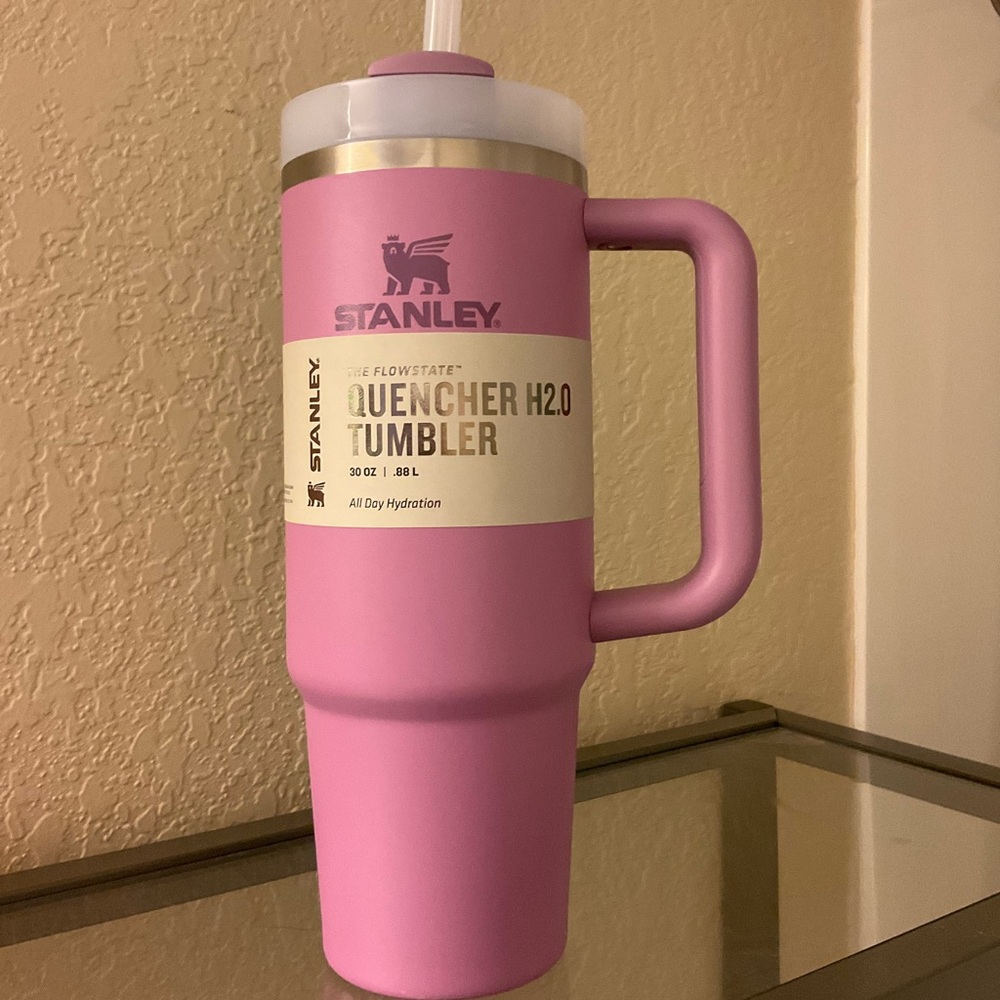 👀 PRICE DROP 👀 30oz Stanley (Lilac)